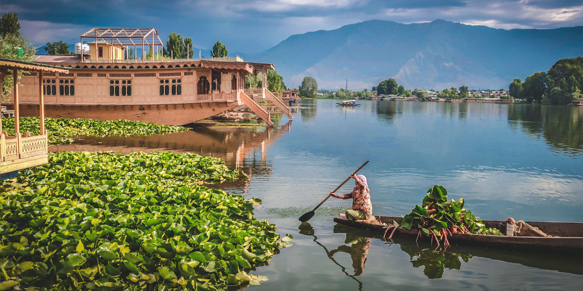 Travel Agency in Dhaka